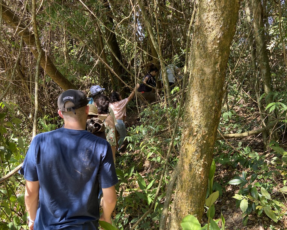 Participantes percorrem trilha ecológica durante vivência quilombola na Fazenda Silvério — Foto: Carolina Klocker/Divulgação