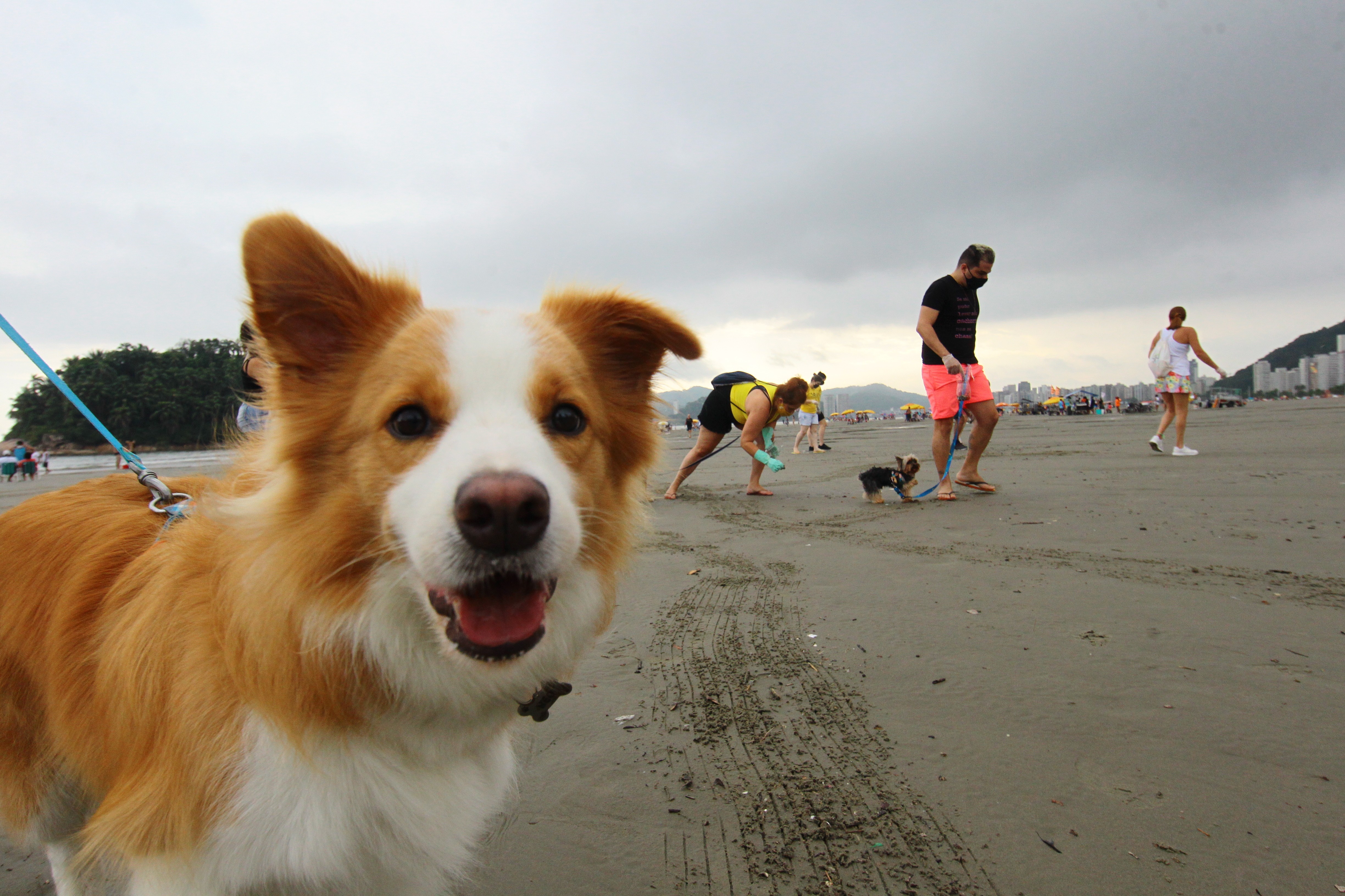 Você Não Tá Convidada pro Meu Bat Mitzvá!