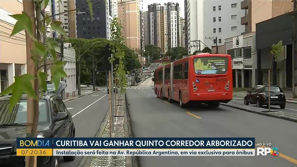 Avenida República Argentina obtiene quinto corredor arbolado en Curitiba |  Paraná