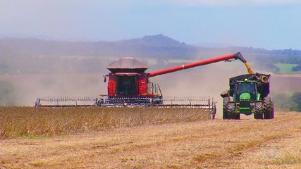 Confira os destaques do Giro do Campo deste domingo (7)
