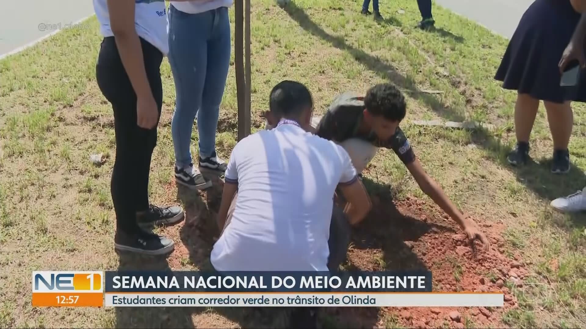 VÍDEOS: NE1 de terça-feira, 3 de junho de 2025