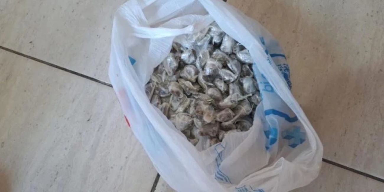 Porções de cocaína e maconha, avaliadas em R$ 60 mil, são apreendidas no MA