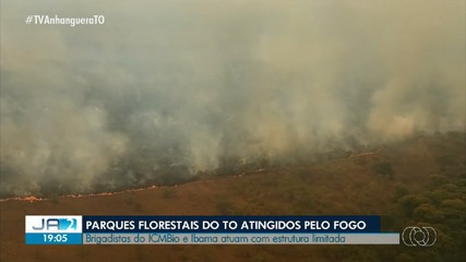 Parques Florestais do Tocantins são atingidos pelas queimadas