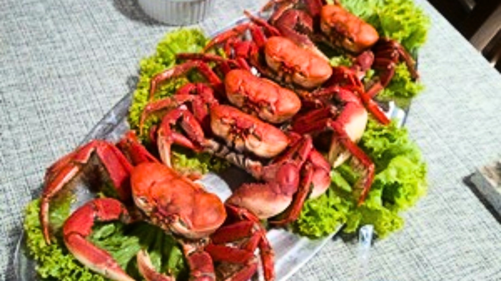 Festival do Caranguejo acontece em Aracaju 