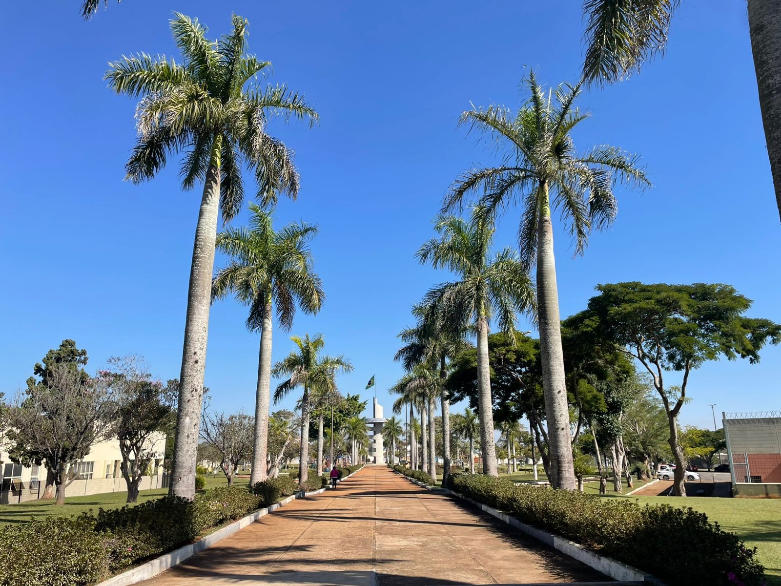 Você Não Tá Convidada pro Meu Bat Mitzvá!