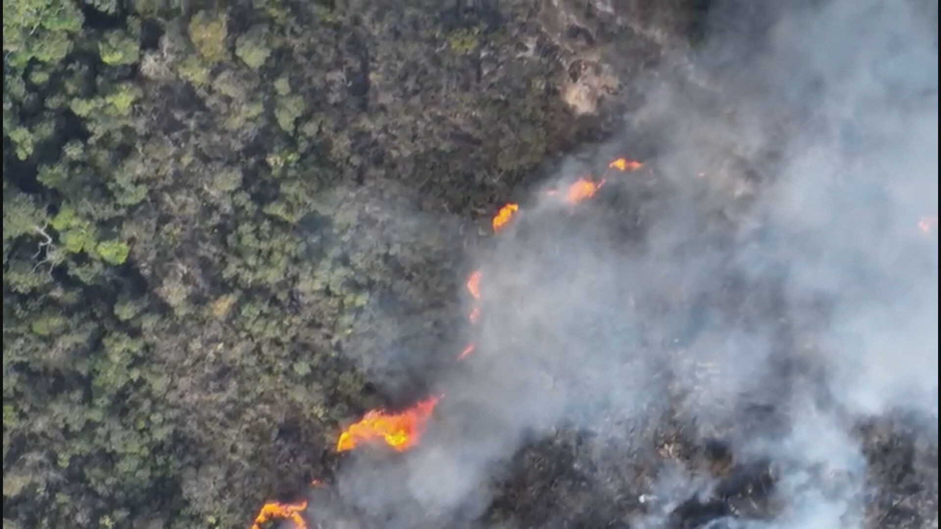 Bombeiros combatem incêndio na Serra do Caraça pelo 12º dia seguido; veja onde há outros focos