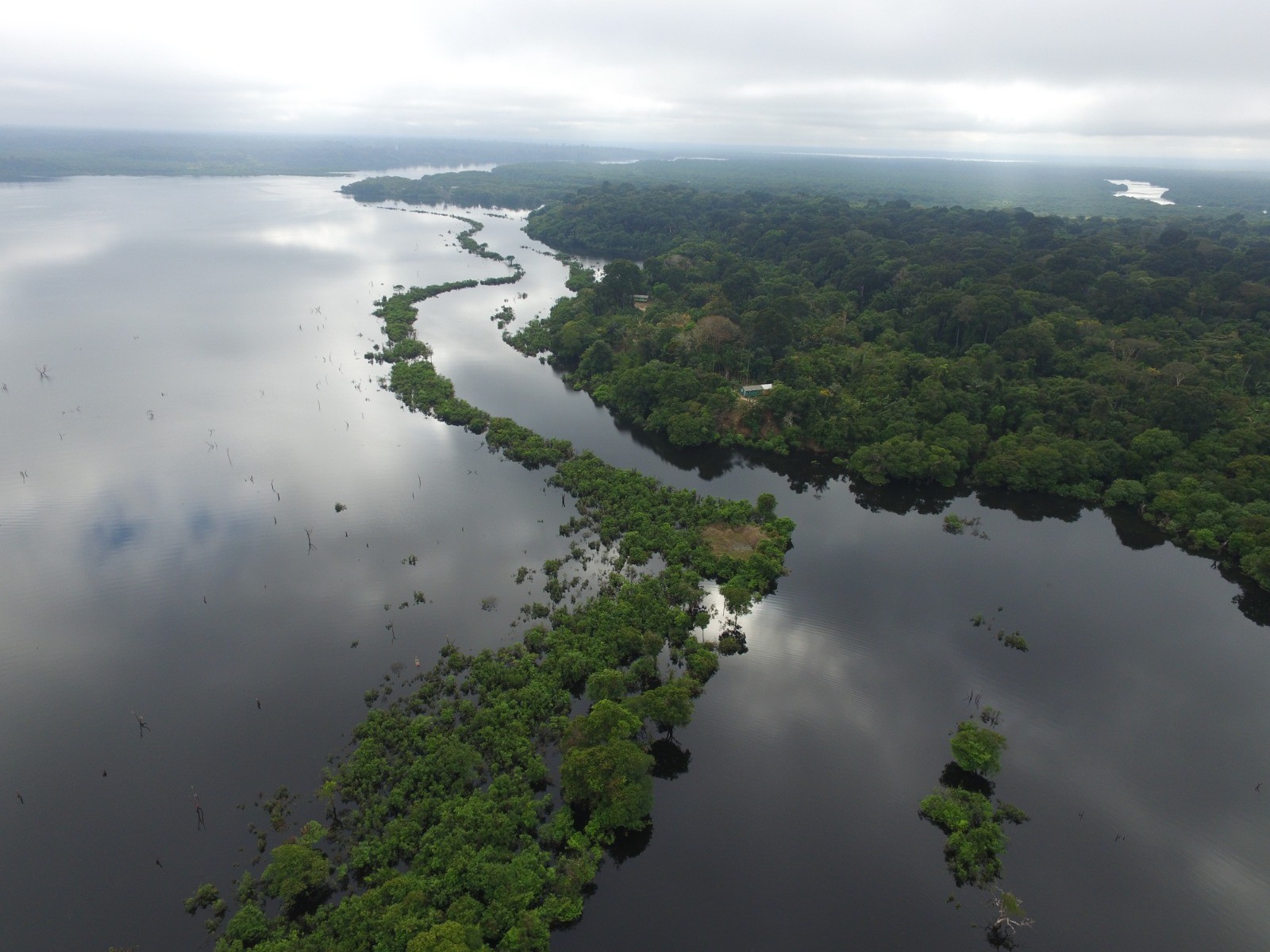 Passeio leva turistas para lago com mais de 36 mil jacarés em reserva de RO