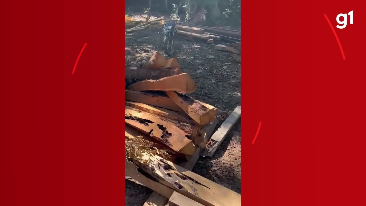 VÍDEO: PF destrói máquinas usadas em desmatamento em terra indígena de RO