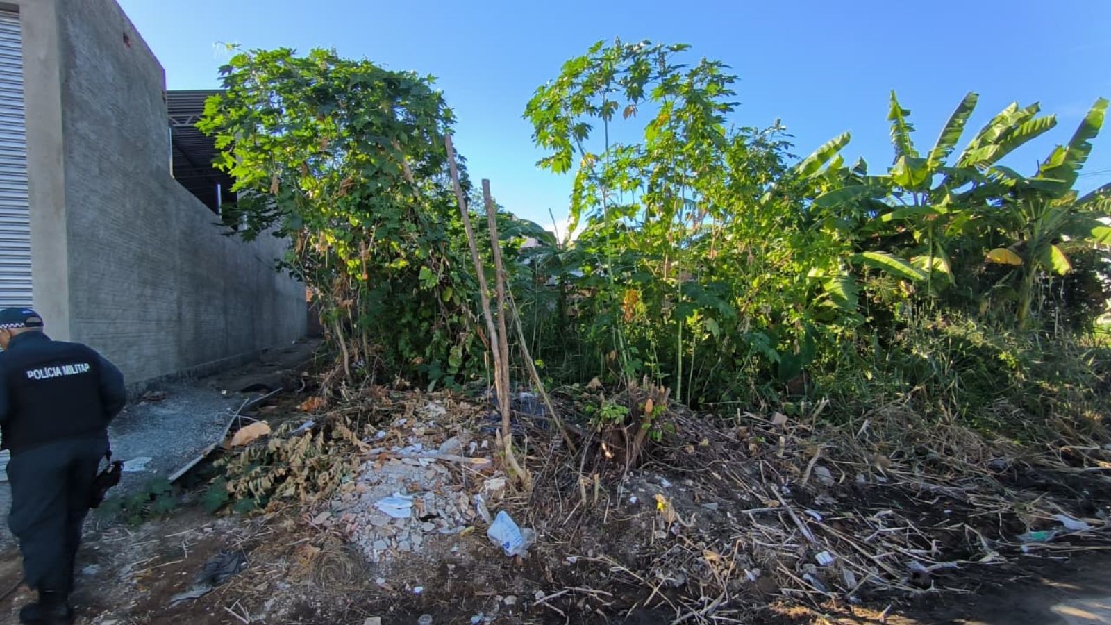 Homem de 38 anos é encontrado morto com tiro na cabeça em terreno baldio no Piauí