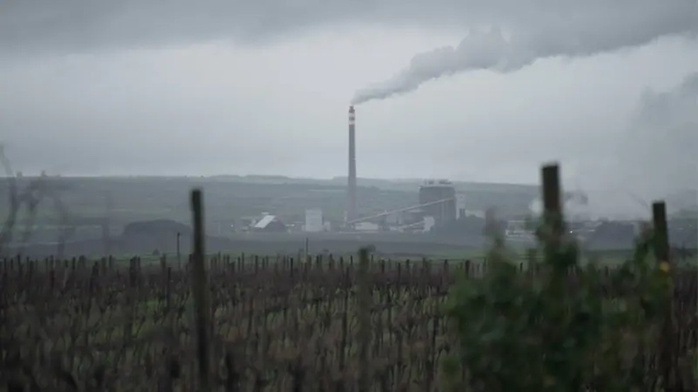 Vinhedos e, ao fundo, chaminé da usina termelétrica Pampa Sul, em Candiota. A usina foi vendida pela francesa Engie a dois fundos de investimento brasileiros. — Foto: João da Mata / BBC News Brasil