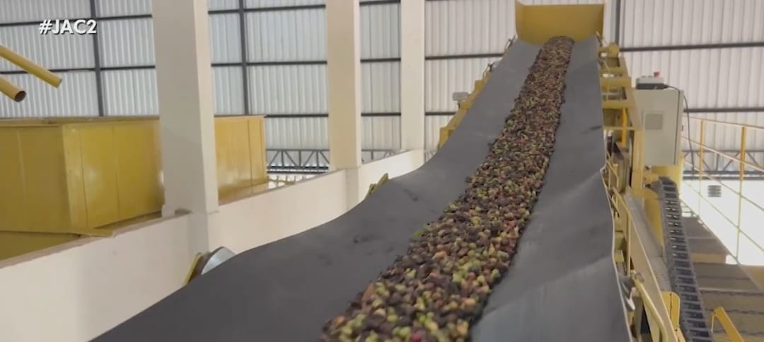 Complexo Industrial do Café deve beneficiar mais de 150 produtores do Vale do Juruá