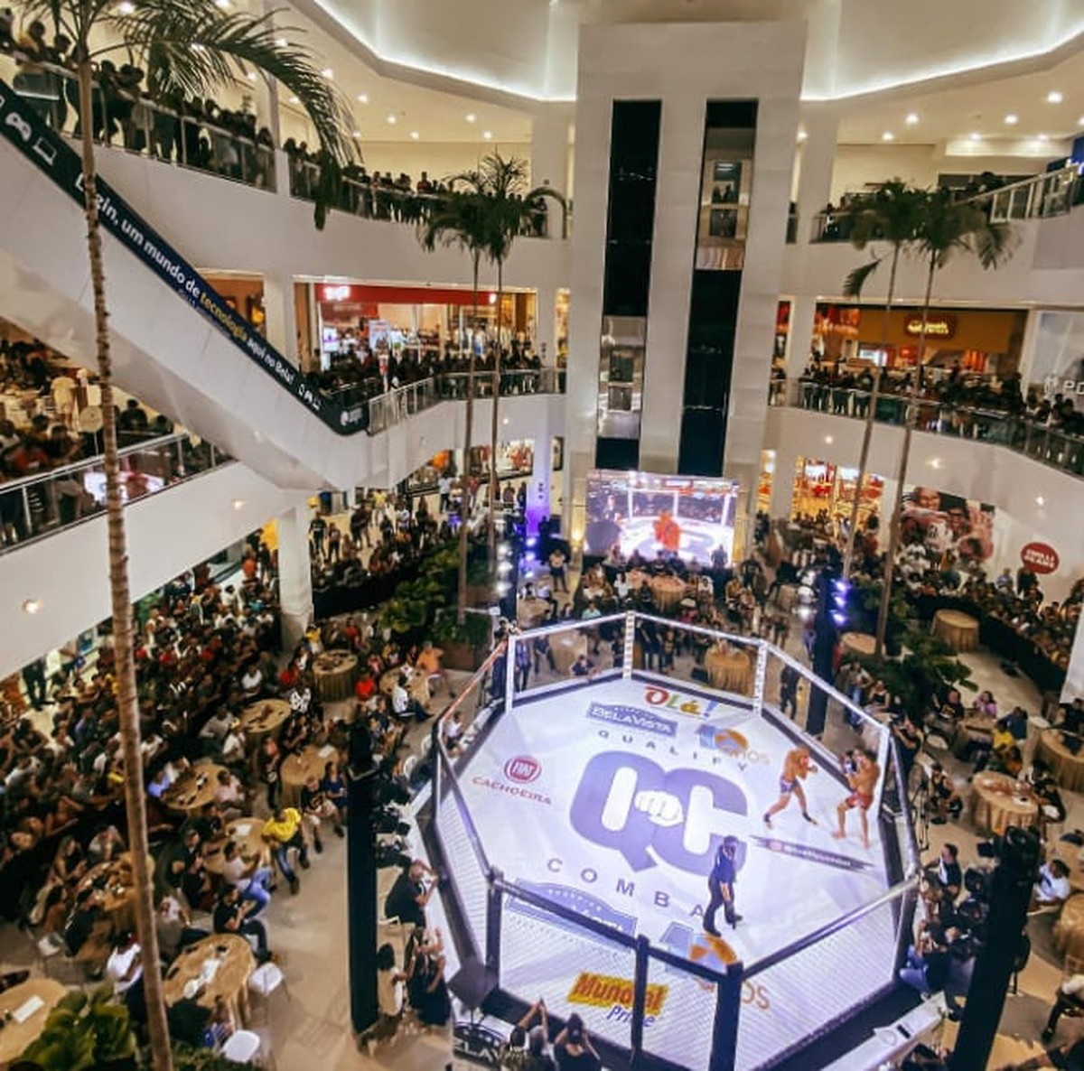 Bahia Já - Esporte - Shopping Bela Vista inaugura Champion Multiarena em  sua cobertura