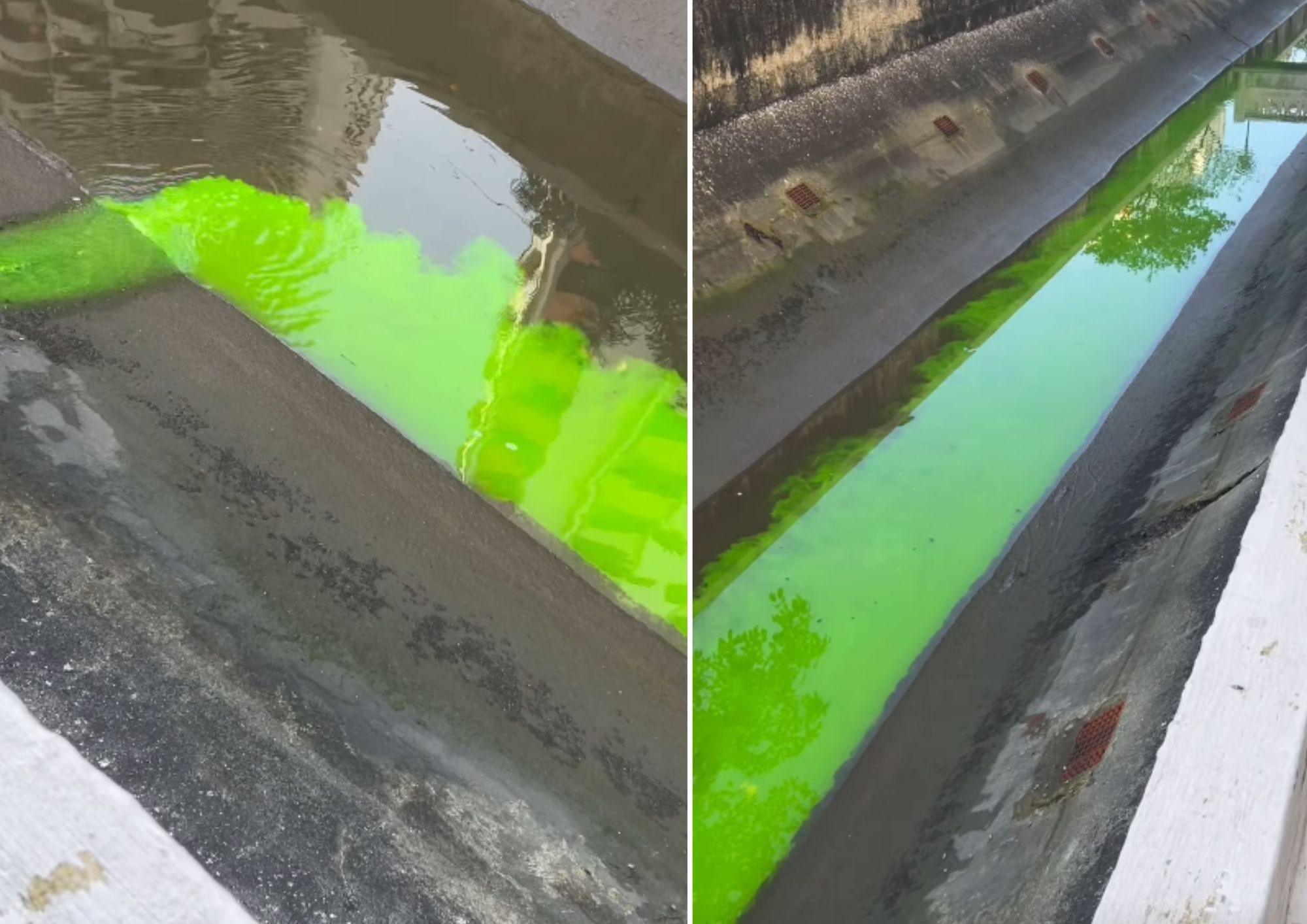 Líquido verde fluorescente invade canal em Santos, SP, e gera multa para condomínio; VÍDEO
