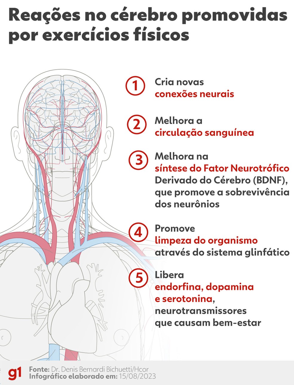 Ilustração das reações no cérebro promovidas por exercícios físicos. — Foto: Juan Silva/g1