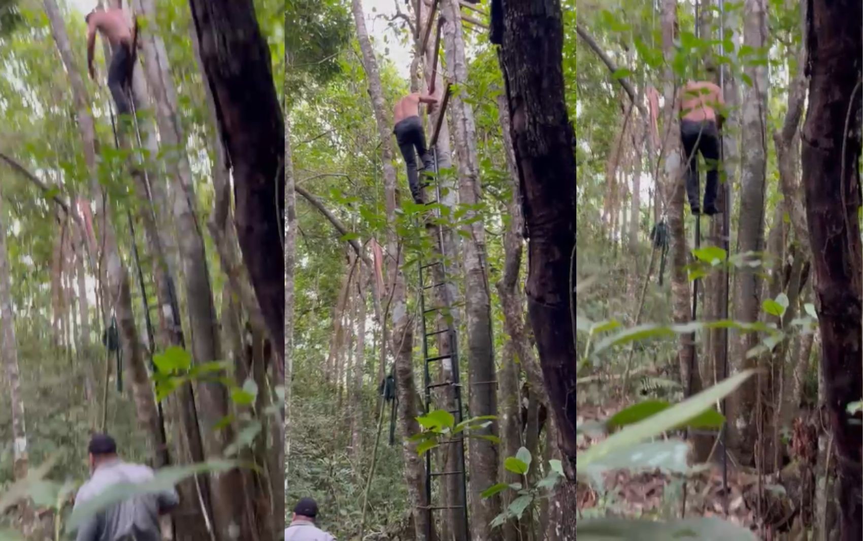 VÍDEO: Condenado por estuprar a enteada de 13 anos é preso enquanto tentava se esconder em cima de árvore, diz polícia 