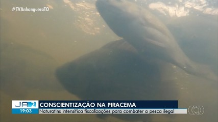 Naturatins intensifica fiscalizações para combater a pesca ilegal