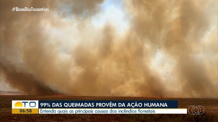 Especialista explica sobre as principais causas de incêndios florestais