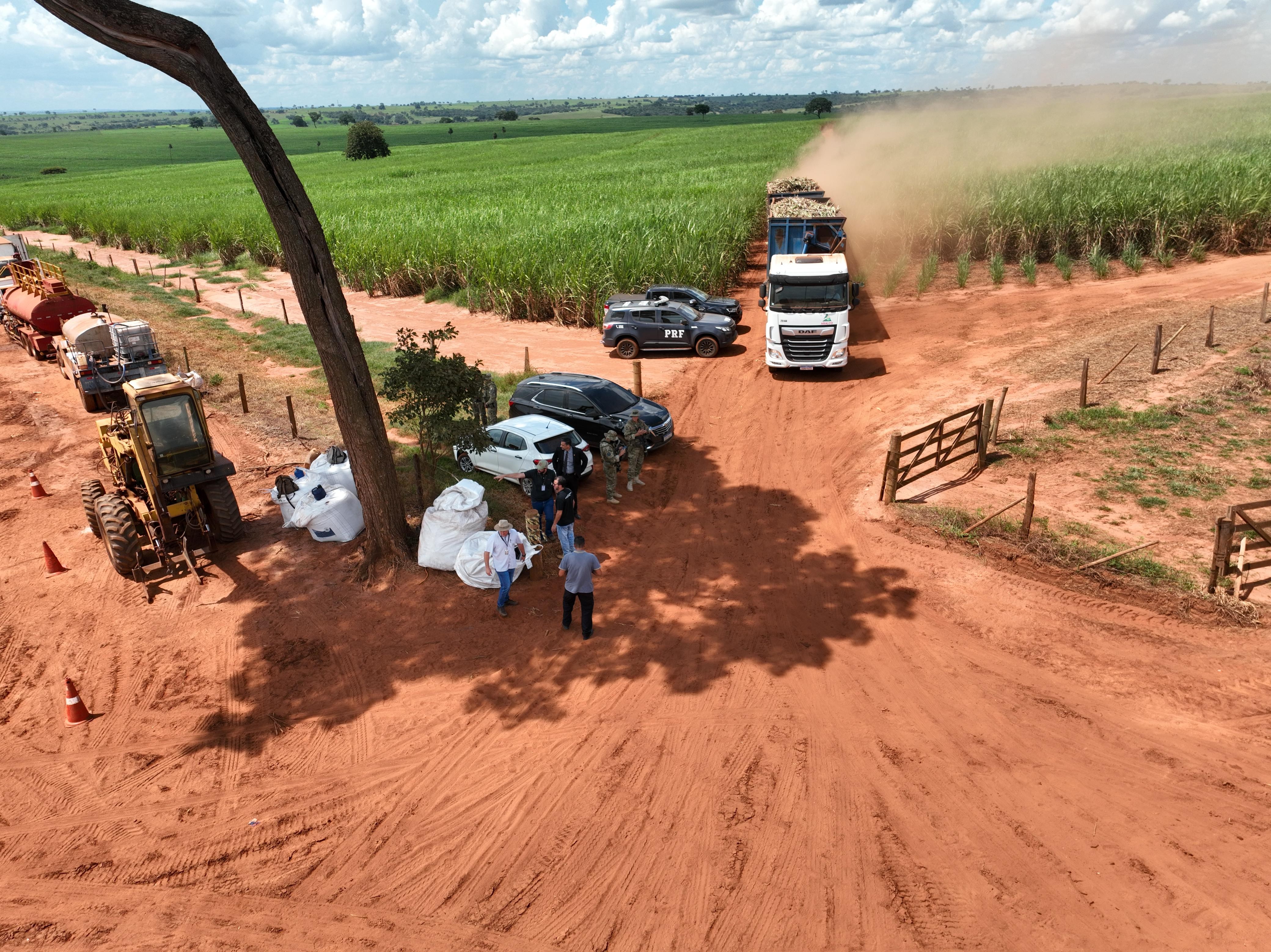 Força-tarefa faz operação para verificar condições de trabalho em áreas de cana-de-açúcar no interior de SP