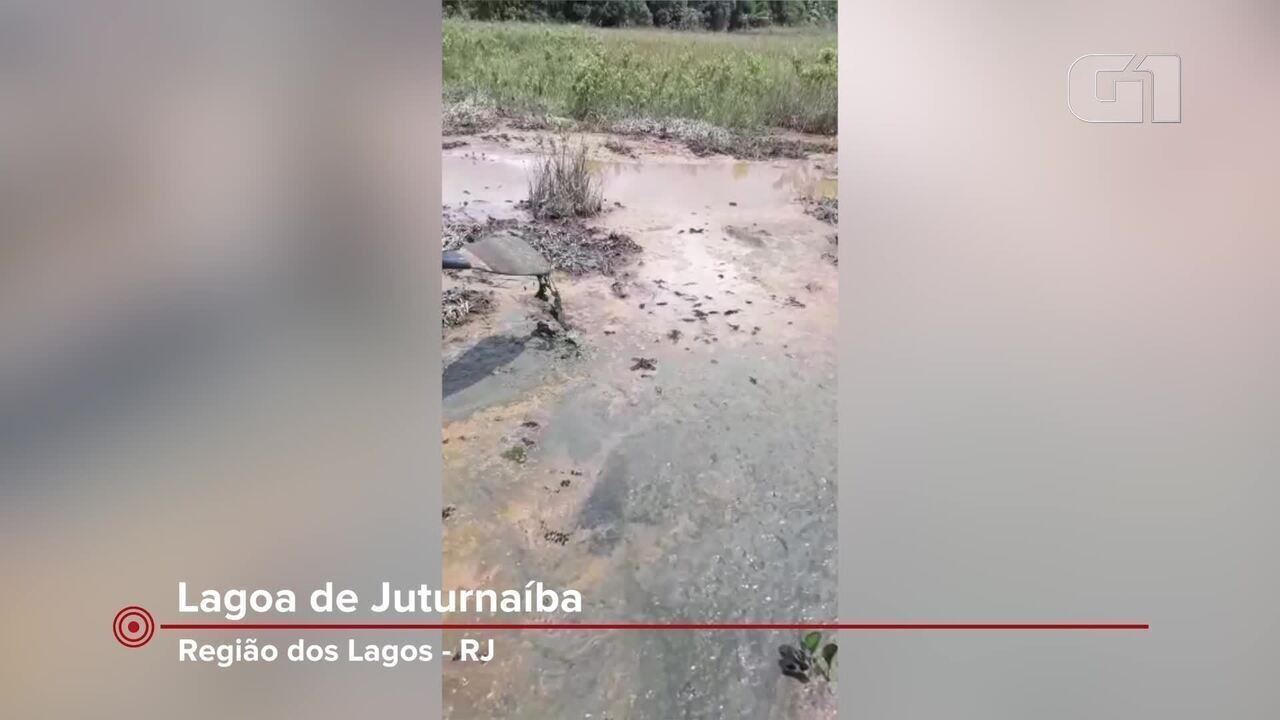 Durante vistoria MPF constatou presença de alumínio na beira da Lagoa de  Juturnaíba, no RJ