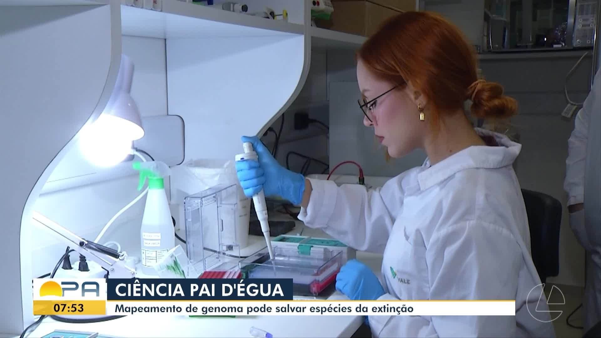 VÍDEOS: BDP de sexta-feira, 28 de novembro de 2025 