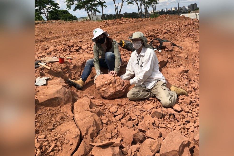 5 de 7
Giovanna Paix&atilde;o e Willian Nava, em 2020, ap&oacute;s descoberta de um dos ninhos no S&iacute;tio Paleontol&oacute;gico Jos&eacute; Martin Suarez &mdash; Foto: Giovanna Paix&atilde;o/Arquivo pessoal