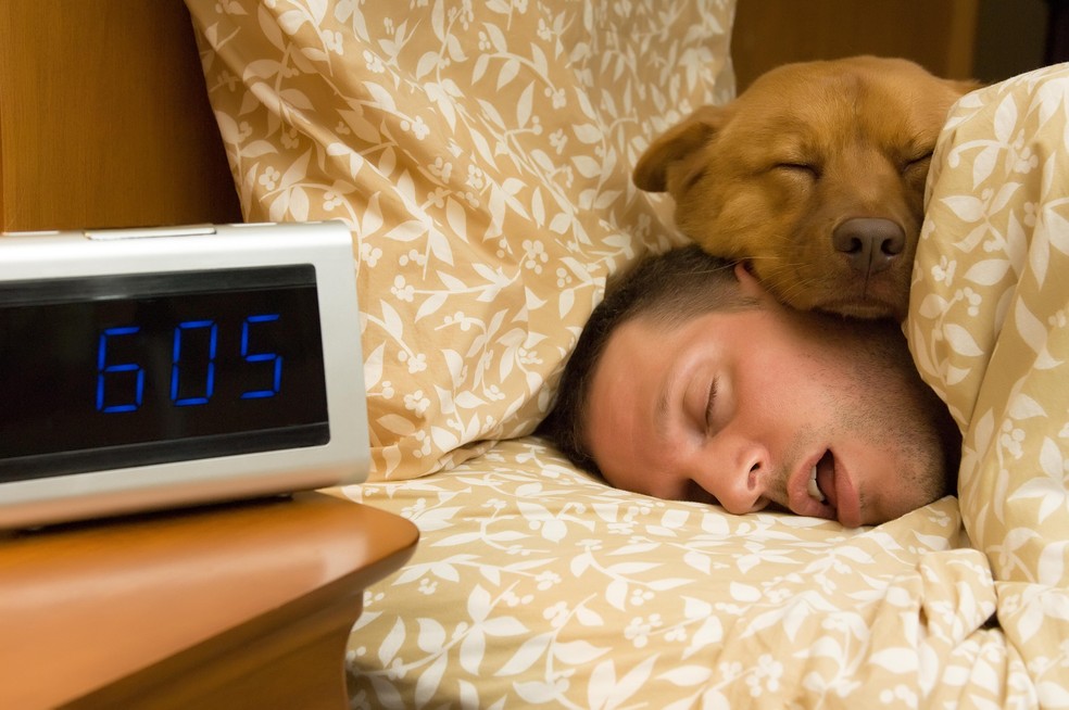 Homem e cachorro dormem na mesma cama — Foto: Michael Pettigrew/Adobe Stock