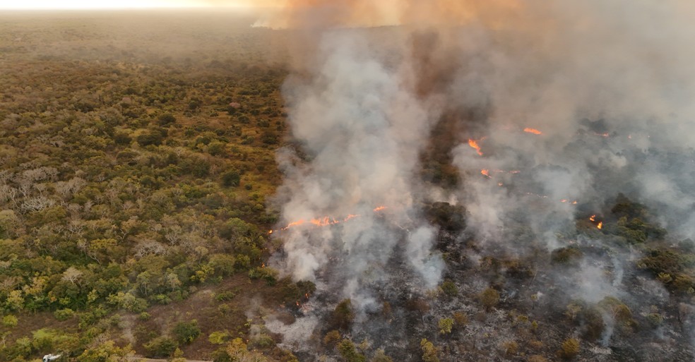 Incêndio em Barão de Melgaço — Foto: Bruno Carvalho