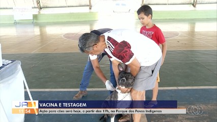 Ação vai vacinar animais contra raiva no centro de Palmas nesta sexta-feira (7)