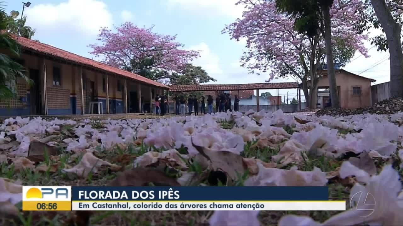 VÍDEOS: Bom Dia Pará de quarta-feira, 4 de setembro de 2024