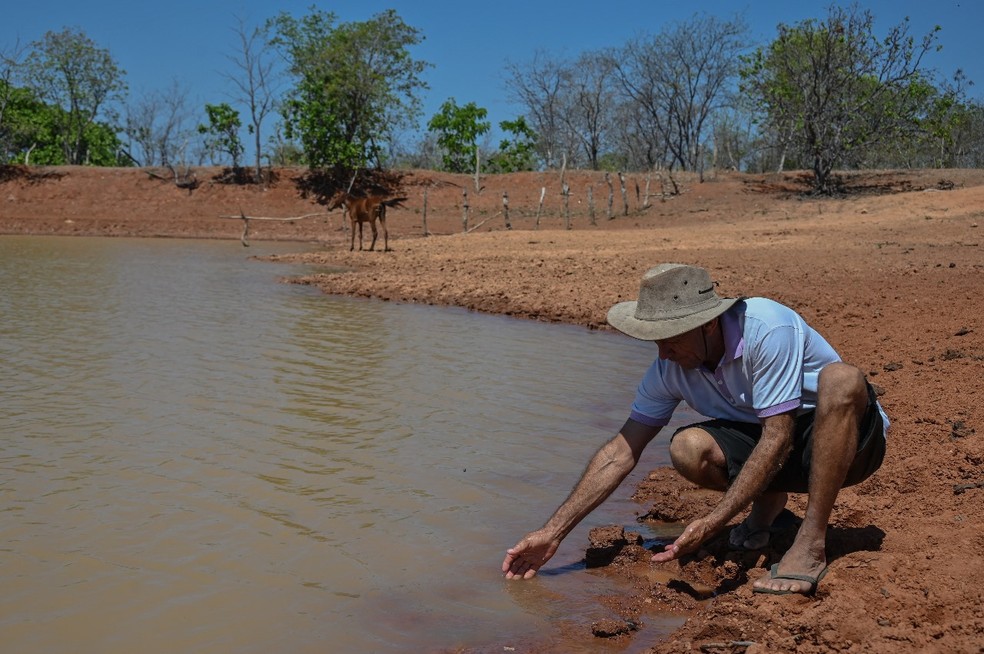 Agricultores driblam a desertificação em Gilbués, no Piauí — Foto: Nelson Almeida/AFP