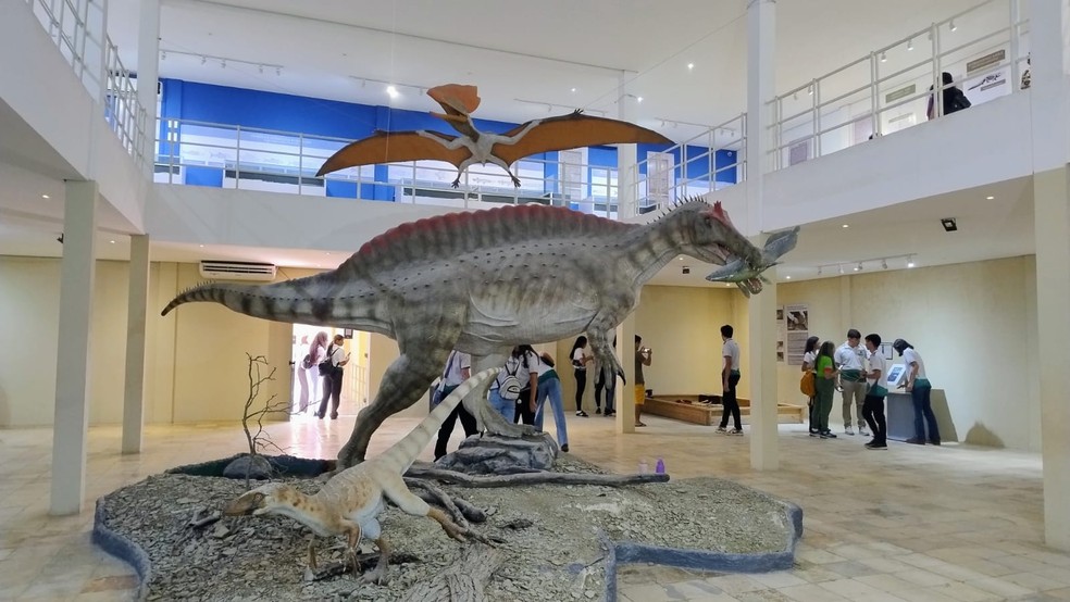 Museu de Paleontologia Plácido Cidade Nuvens — Foto: Claudiana Mourato/g1