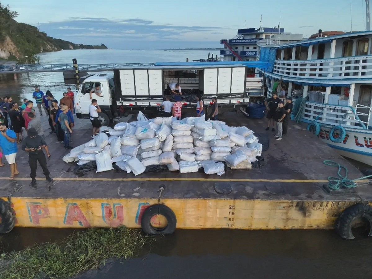 Quase 10 toneladas de pirarucu ilegal são apreendidas no Pará em uma das maiores operações contra pesca irregular