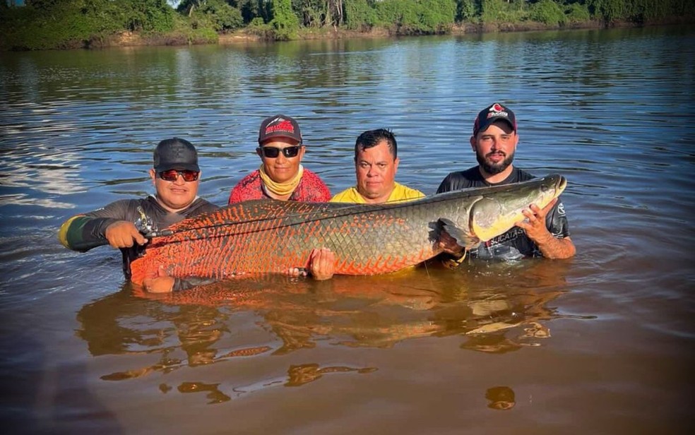 Os guias de pesca Bolota,  Xand�, Vauiriz e Rog�rio fisgaram um pirarucu de mais de dois metros no rio Araguaia � Foto: Reprodu��o/ Perfil do Instagram da Pousada S� Pira�ba