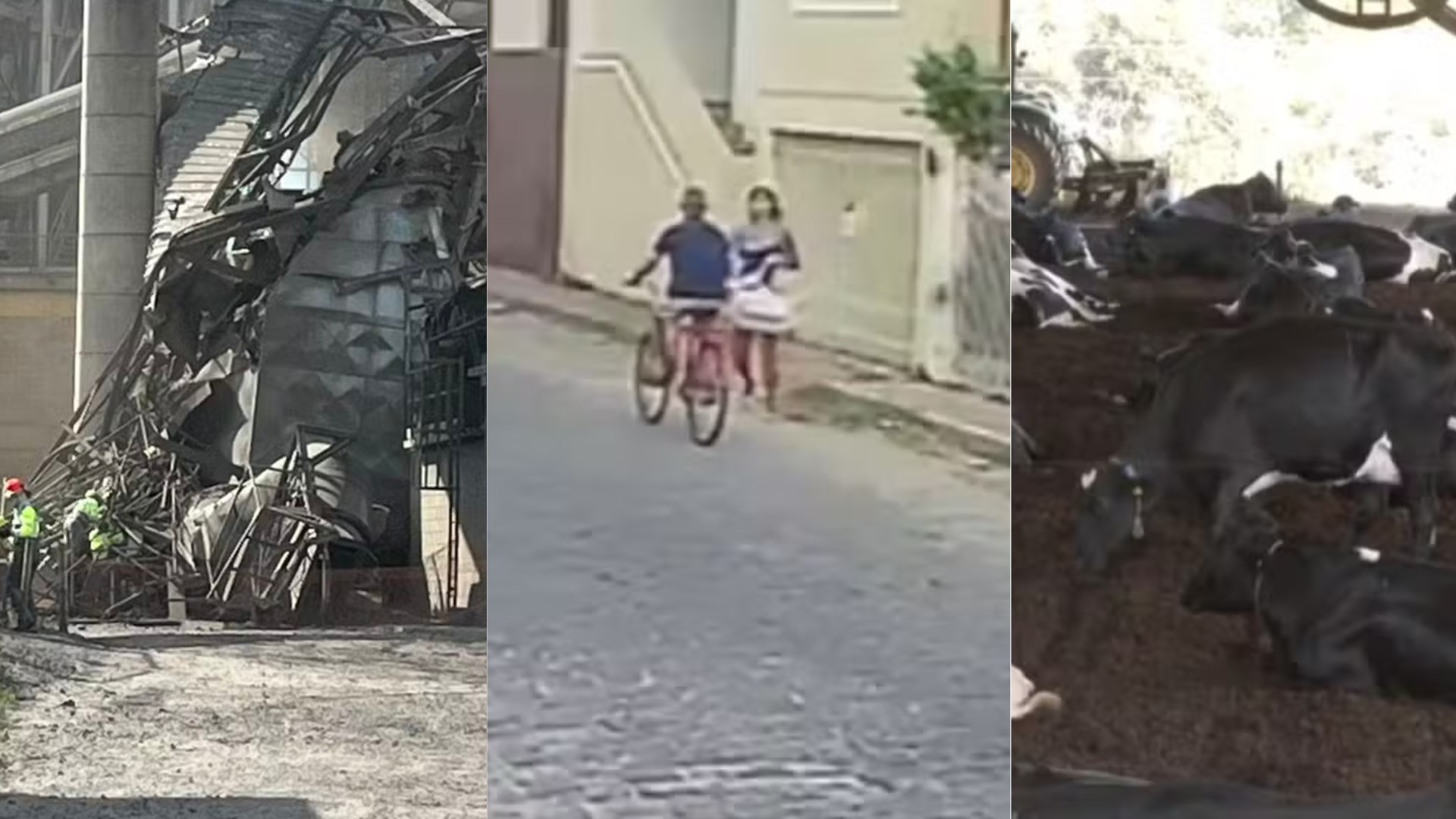 Você viu? Trabalhador morrem em mineradora, idoso esfaqueado em bicicleta e vacas deixam pasto para viver em ‘cama’