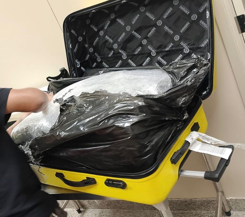 PF apreende 15 kg de maconha em voo no aeroporto de Maceió