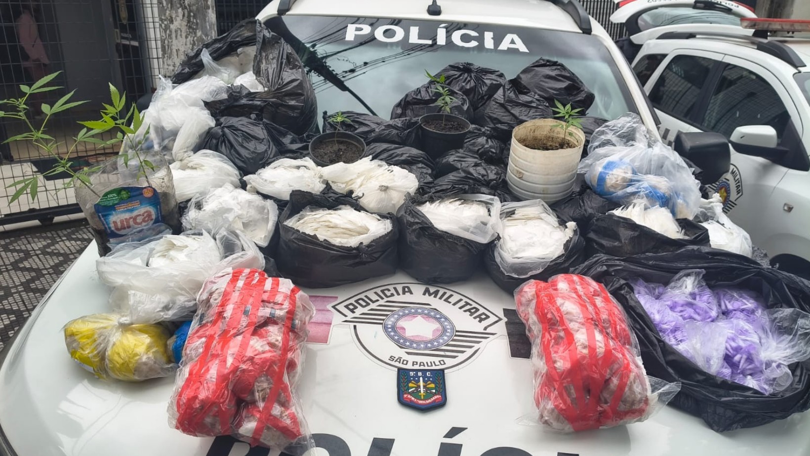 Mulher é presa com mais de 46 kg de drogas escondidos em fundo falso no quintal de casa em Taubaté