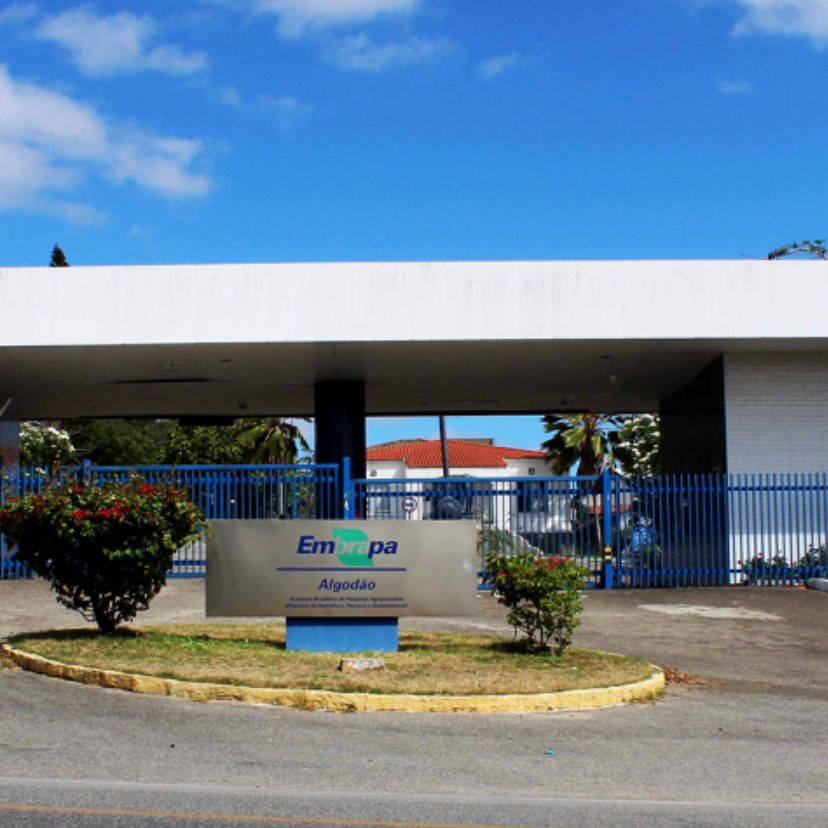 Você Não Tá Convidada pro Meu Bat Mitzvá!
