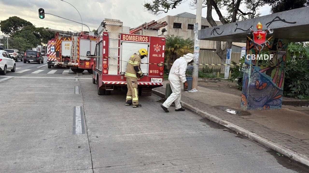 Ataque de abelhas em Brasília leva ao menos três pessoas para o hospital
