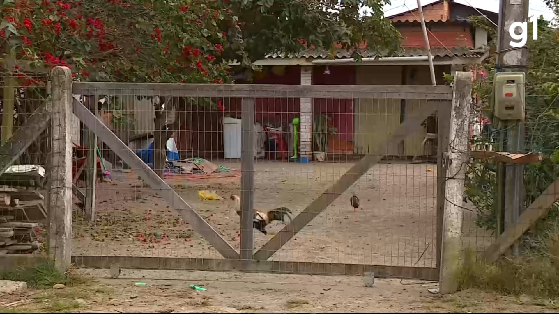 Polícia investiga latrocínio de mulher dentro de casa em praia pacata do RS; marido foi baleado na cabeça