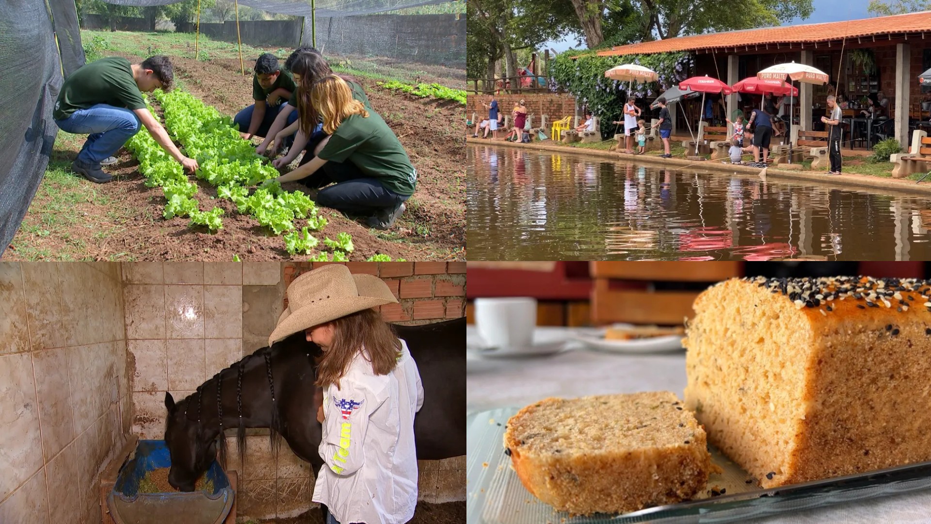 Retrospectiva 2023: reveja reportagens do Nosso Campo neste domingo, 14 de janeiro