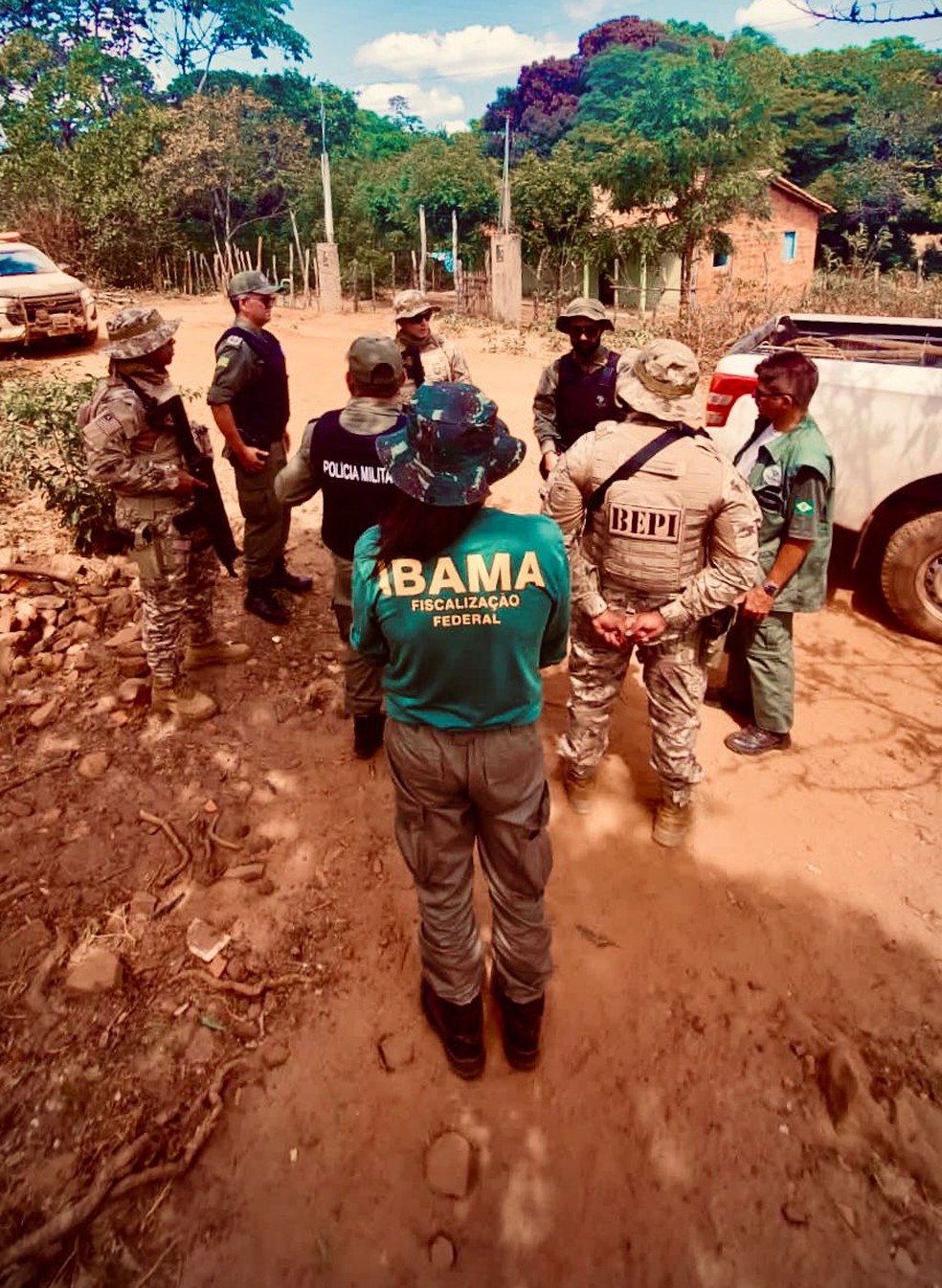 Operação do Ibama resgata mais de 70 animais em cativeiro e aplica R$ 64 mil em multas no Piauí e Ceará — Foto: Divulgação /Ibama-PI