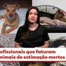 Especialistas em taxidermia, prática muito usada para fins científicos, empreendem ao oferecer serviços particulares para empalhar cães e gatos. Há ainda quem compre somente uma pata, o coração ou um tapete feito da pele do bicho. 