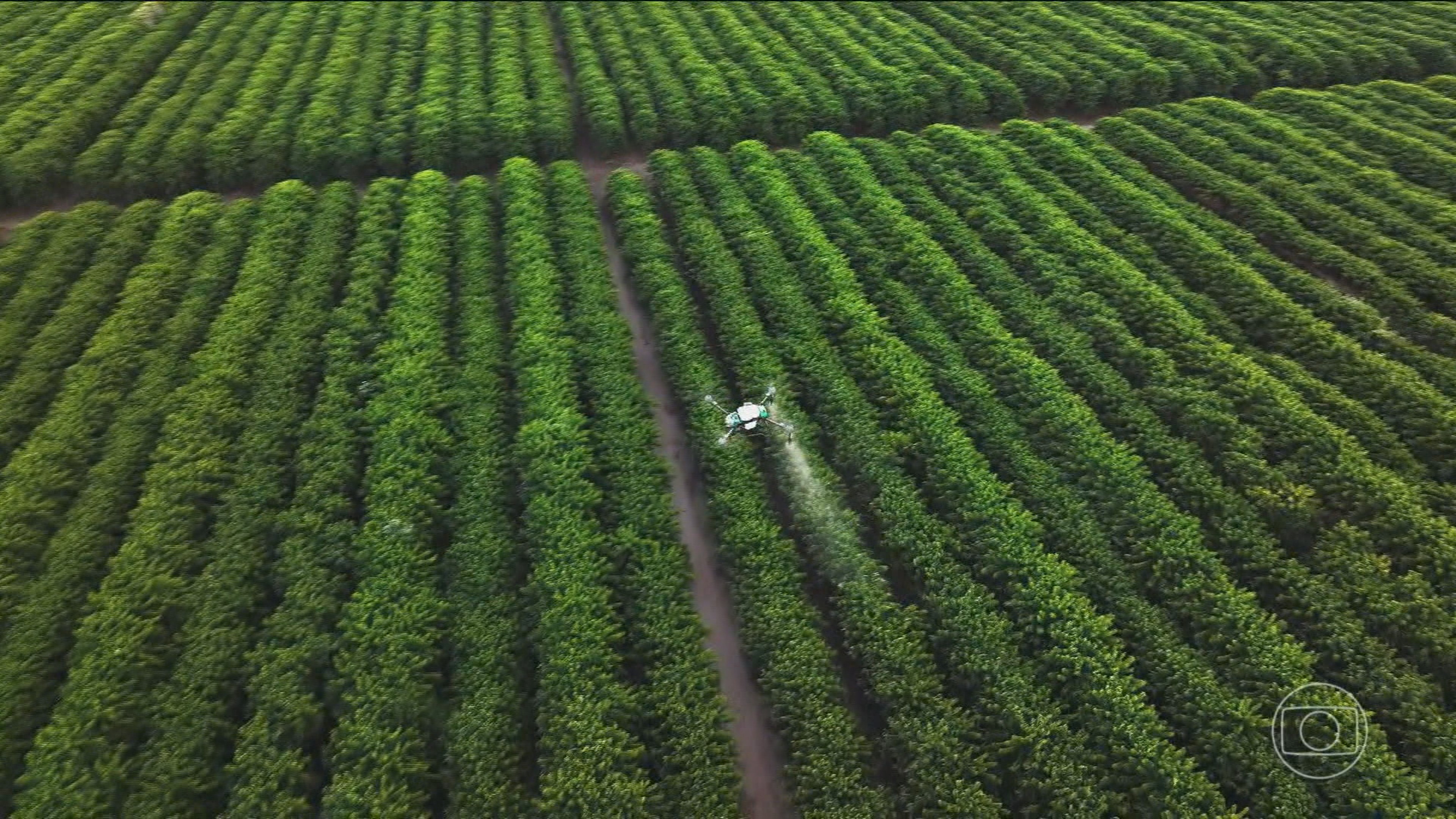 Você Não Tá Convidada pro Meu Bat Mitzvá!