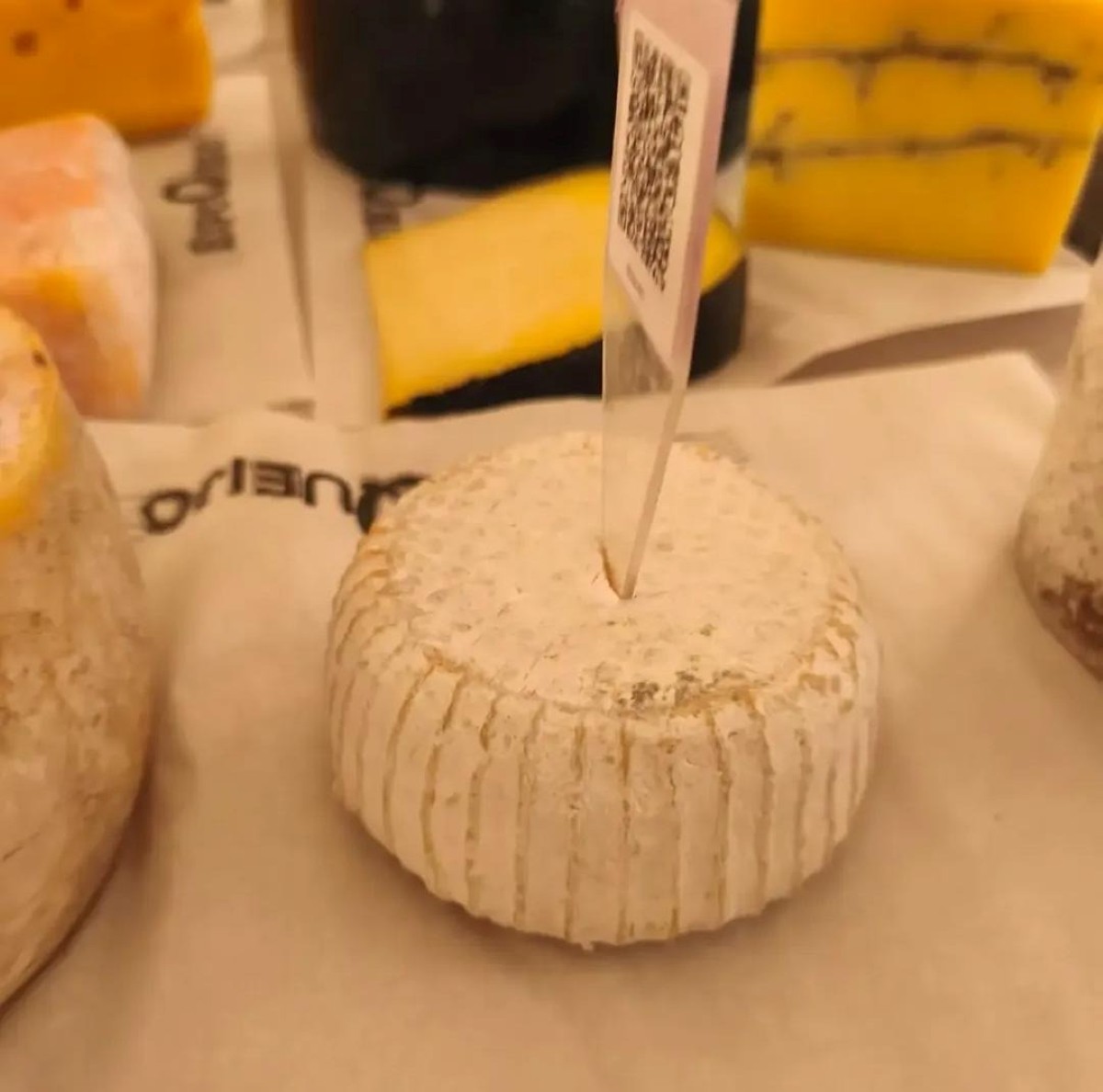 Queijos produzidos em Piumhi premiados na ExpoQueijo Brasil