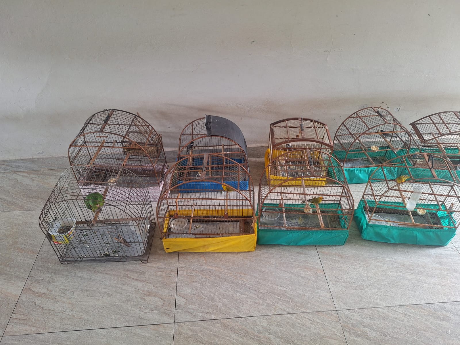 Você Não Tá Convidada pro Meu Bat Mitzvá!
