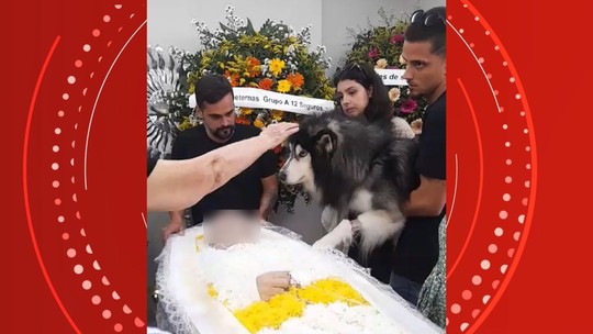VÍDEO: Cachorro de aposentado morto por vizinho durante discussão em Vitória vai a velório do tutor - Foto: (Reprodução)