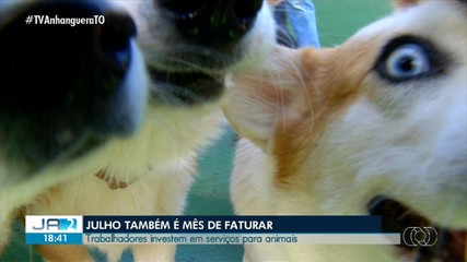 Trabalhadores investem em serviço para animais em mês das férias