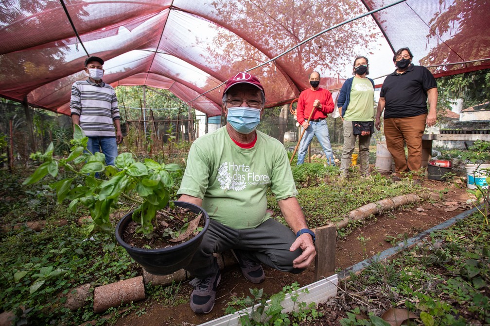 Prefeitura instala horta comunitária na Fundação Casa – Prefeitura de  Caraguatatuba