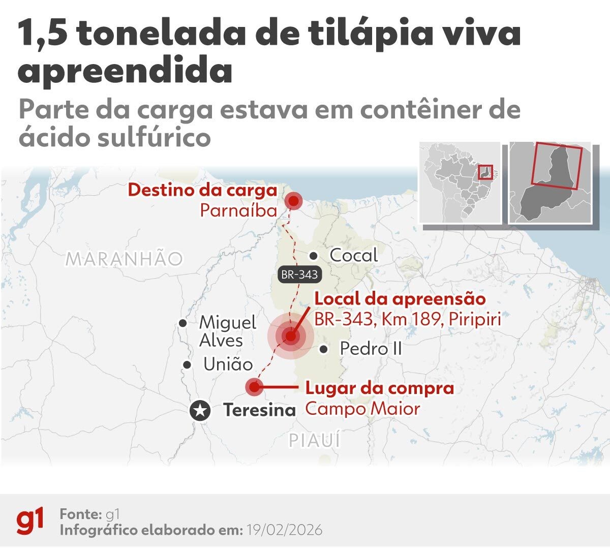 1,5 tonelada de tilápias vivas avaliada em R$ 15 mil é descartada em aterro sanitário após apreensão