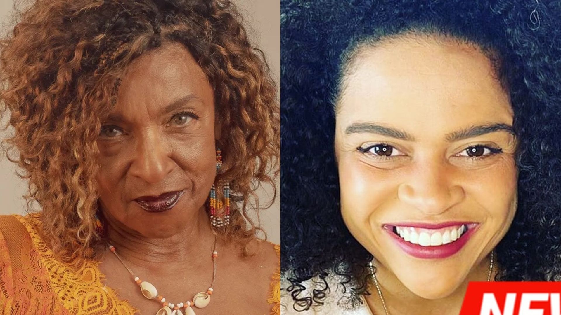 Atriz Elisa Lucinda fala sobre prisão de sobrinha cineasta nos EUA: 'Estamos na expectativa'